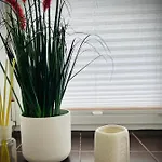 Διαμέρισμα Vabriku 6 With Sauna Ράκβερε