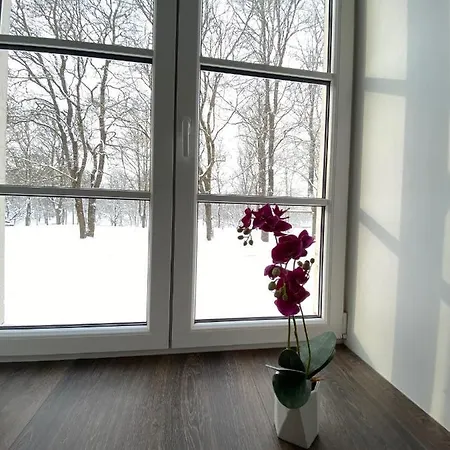 아파트 Vabriku 6 With Sauna *