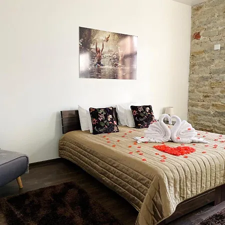 Vabriku 6 With Sauna *