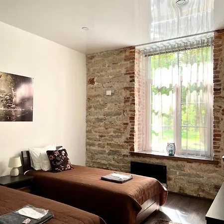 Vabriku 6 With Sauna