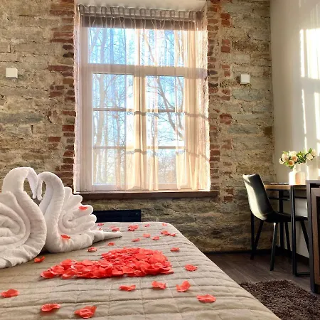 Vabriku 6 With Sauna *