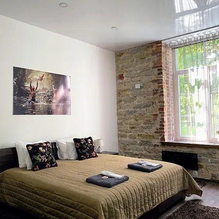 Vabriku 6 With Sauna