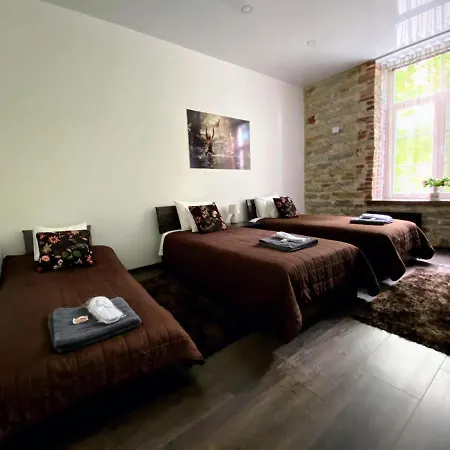 Vabriku 6 With Sauna *