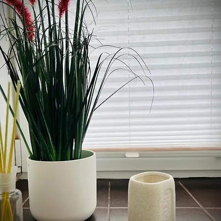 Appartement Vabriku 6 With Sauna Rakvere