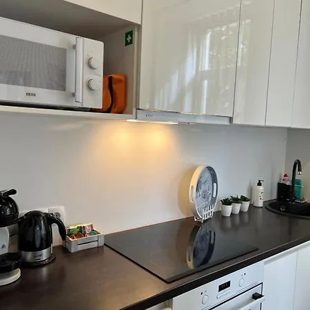 Vabriku 6 With Sauna *