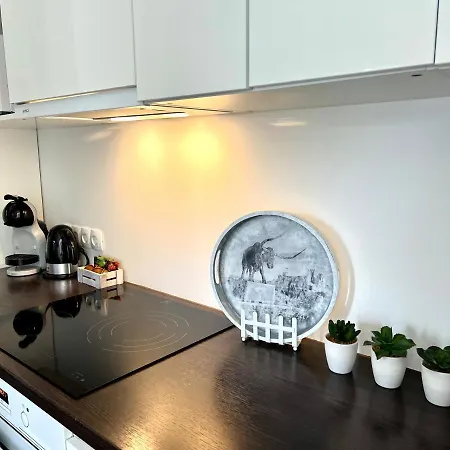 Vabriku 6 With Sauna