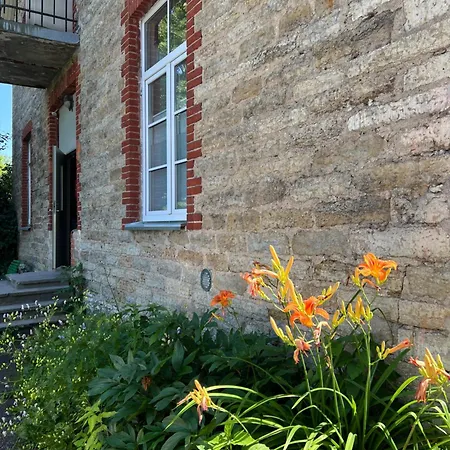 Vabriku 6 With Sauna * Rakvere