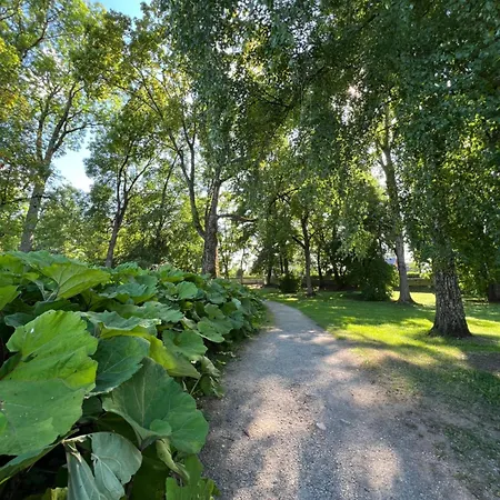 Vabriku 6 With Sauna Lejlighed