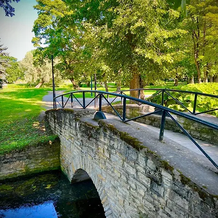 Vabriku 6 With Sauna Appartement *