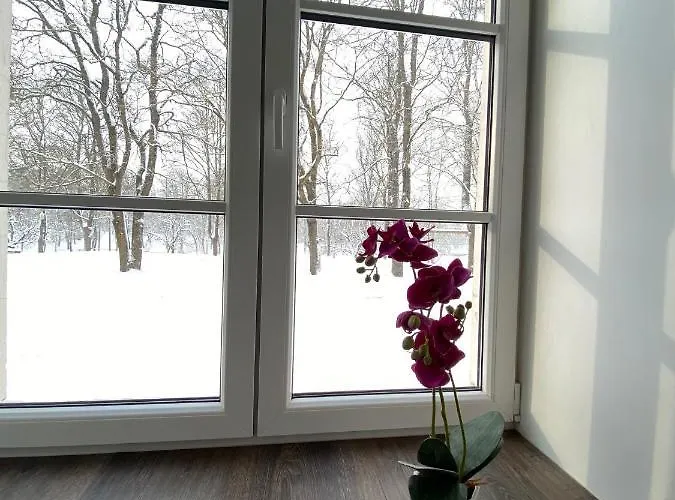 Apartament Vabriku 6 With Sauna *