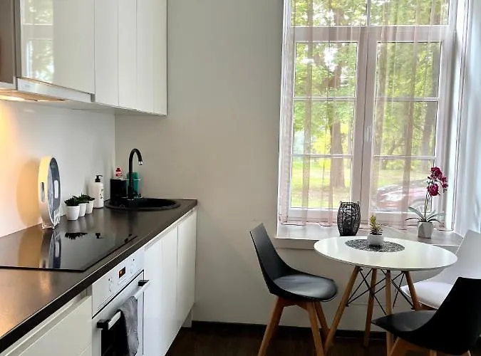 Vabriku 6 With Sauna