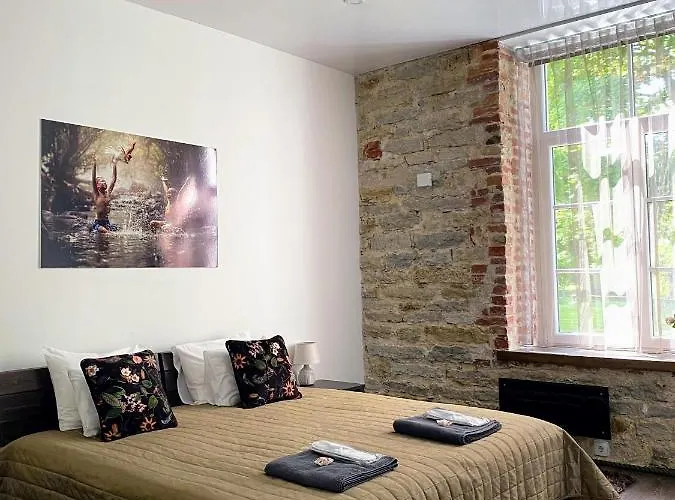 Vabriku 6 With Sauna