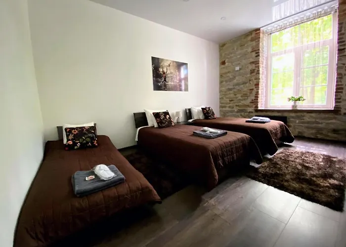 Vabriku 6 With Sauna *