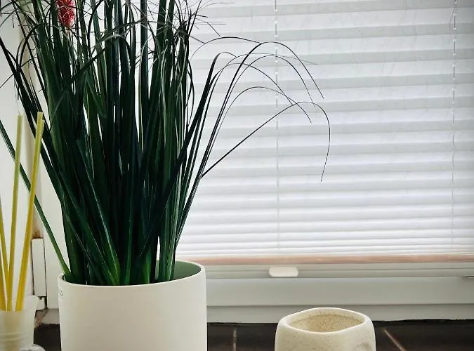 Apartament Vabriku 6 With Sauna Rakvere