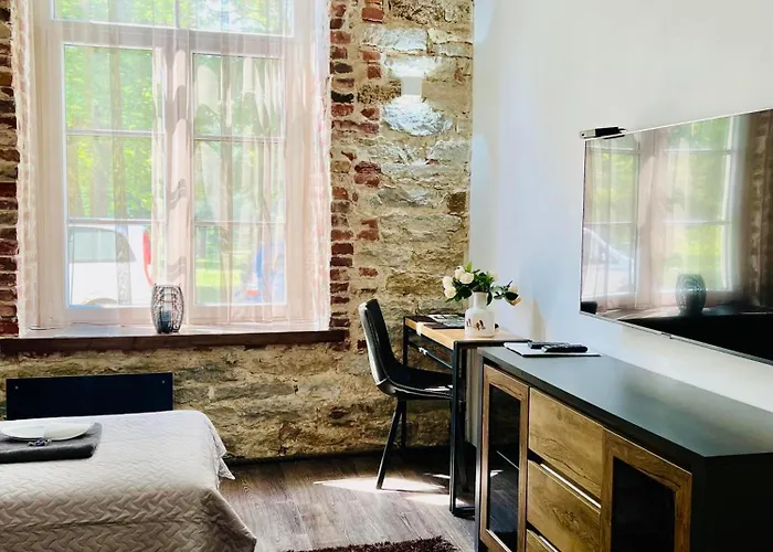 Apartment Vabriku 6 With Sauna